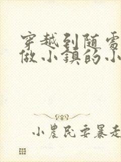 穿越到随处可以做小镇的小说