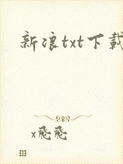 新浪txt下载