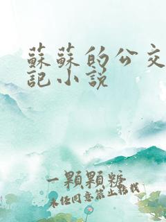 苏苏的公交车日记小说