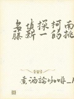 名侦探柯南给工藤新一的挑战书