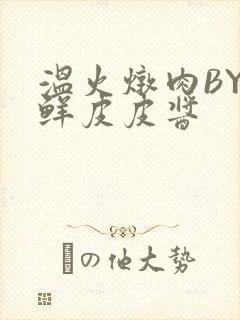 温火炖肉BY海鲜皮皮酱