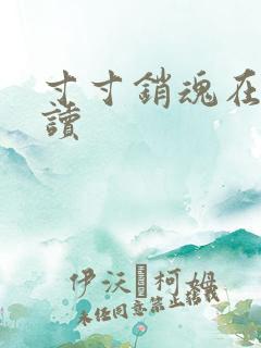 寸寸销魂在线阅读