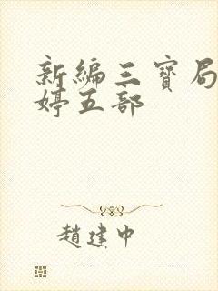 新编三宝局长许婷五部