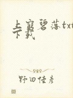 上穷碧落txt下载