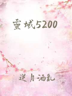 灵域5200