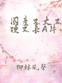 国产又大又粗又硬又长A片小说