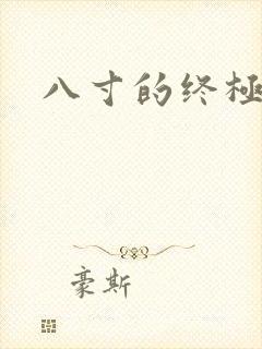 八寸的终极凶器