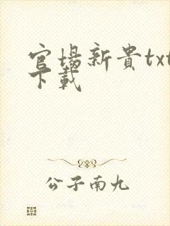 官场新贵txt下载