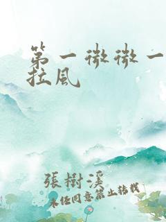 第一微微一笑很拉风