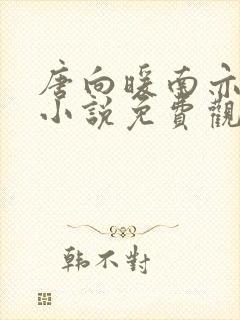 唐向暖南亦琛的小说免费观看