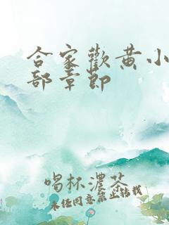 合家欢黄小梅全部章节