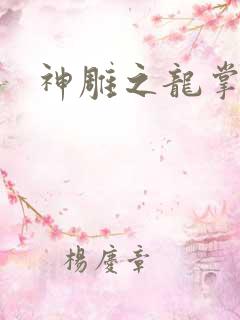 神雕之龙掌门