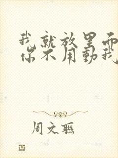 我就放里面不动你不用动我动