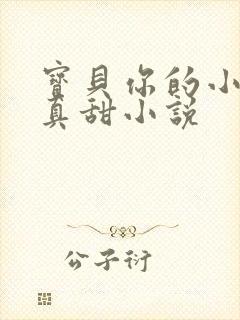 宝贝你的小花园真甜小说