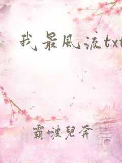 我最风流txt