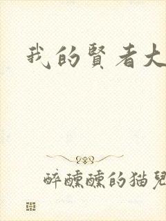 我的贤者大人