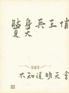 贴身兵王俏总裁夏天