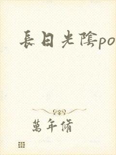 长日光阴po