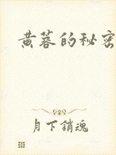 黄蓉的秘密