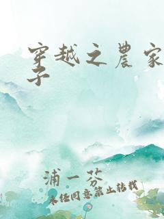 穿越之农家小女子