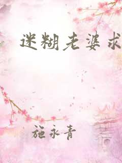 迷糊老婆求错婚