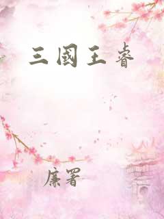 三国王睿