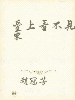 爱上看不见的房东