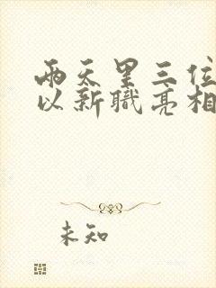 两天里三位将军以新职亮相