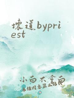 坏道bypriest