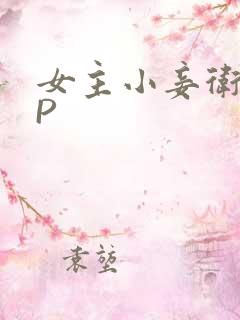 女主小妾卫府NP