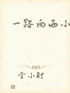 一路向西小说