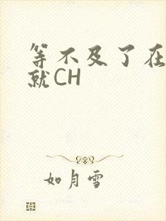 等不及了在车里就CH