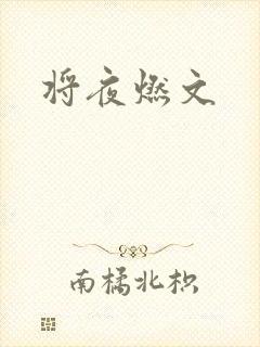 将夜燃文