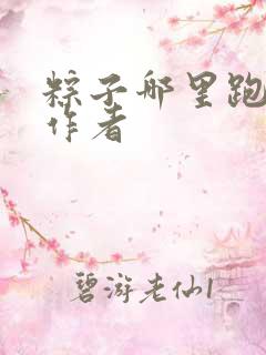 粽子哪里跑小说作者