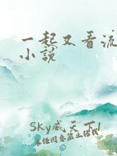 一起又看流星雨小说