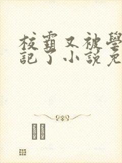 校霸又被学神标记了小说免费阅读