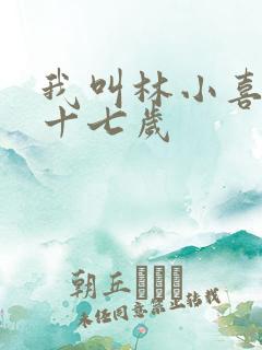 我叫林小喜今年十七岁