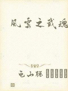 风云之武魂