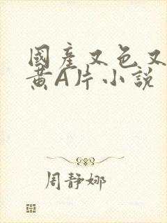 国产又色又爽又黄A片小说