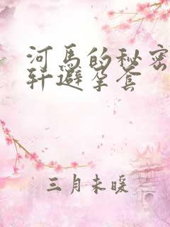 河马的秘密河文轩避孕套