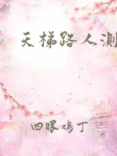 天梯路人测试器