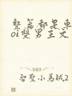 整篇都是车的doi双男主文