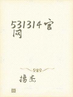 531314官网