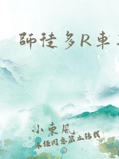 师徒多R车年上