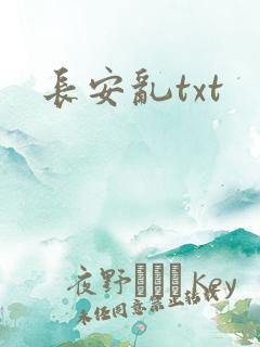 长安乱txt