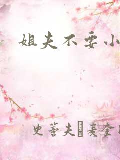 姐夫不要小说