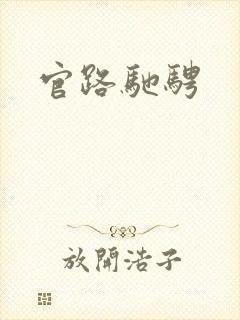 官路驰骋