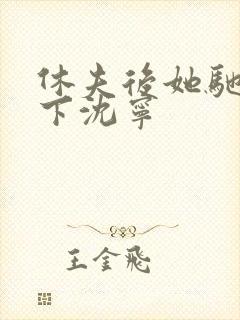 休夫后她驰骋天下沈宁