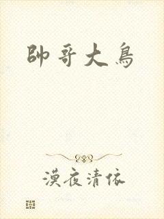 帅哥大鸟