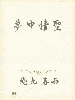 梦中情圣
